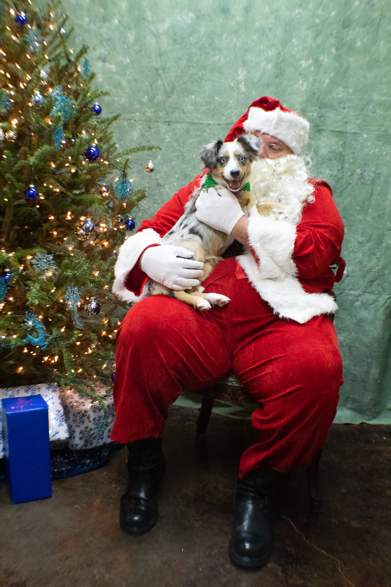 Santa Visits LazyPaw 2018 Santa Visits LazyPaw 2018