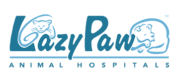 Lazy Paw Animal Hospitals